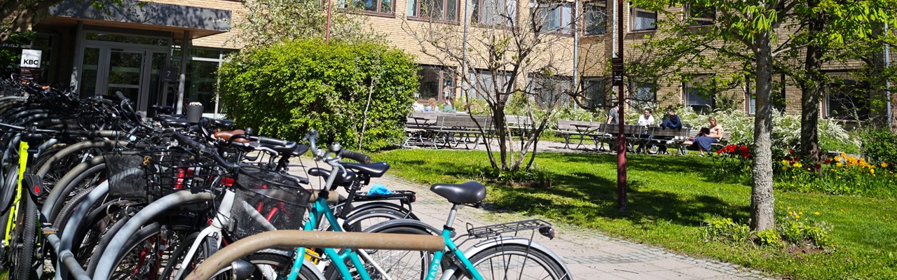 A row of bicycles parked in front of a building.