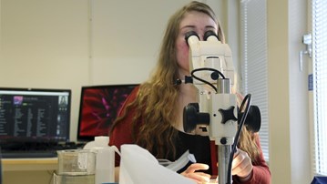 Studenten Anna Lundberg analyserar makrofossilporver i mikroskop. 