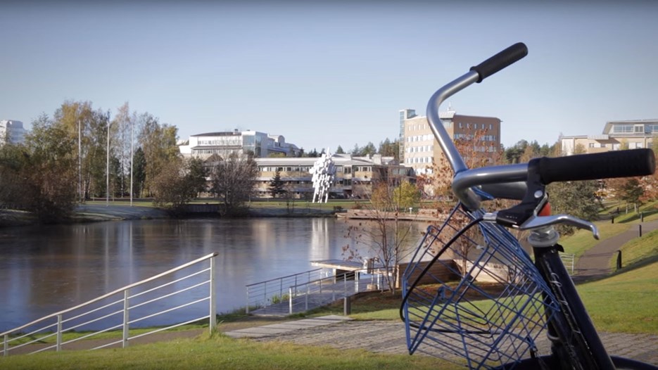 Film: Master’s Programme in IT Management at Umeå University, Sweden