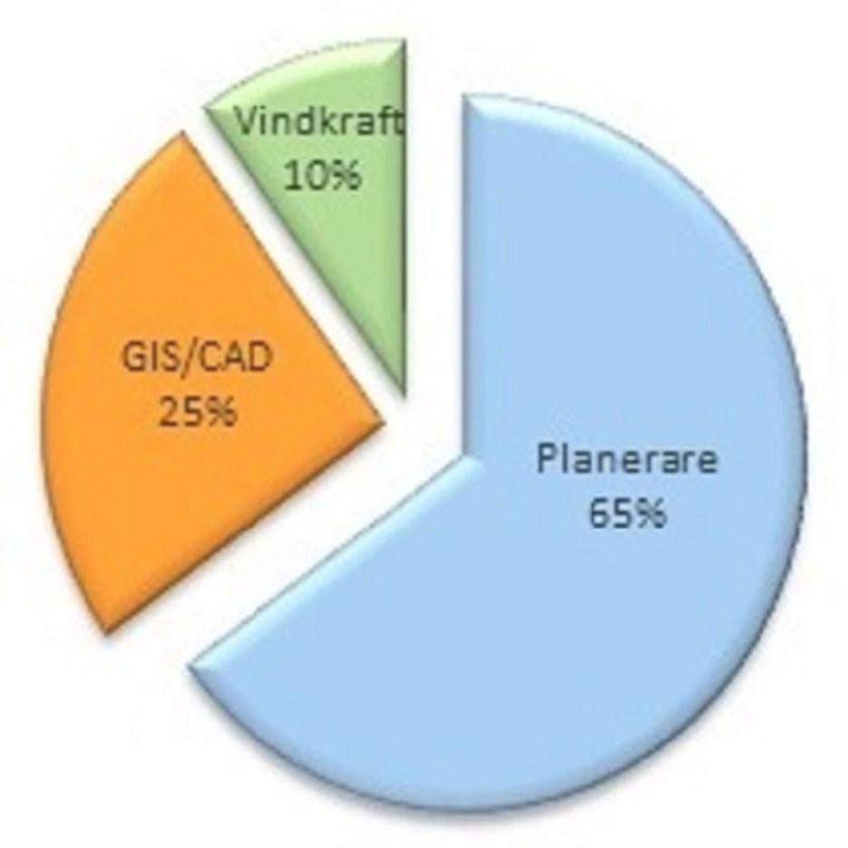 Cirkeldiagram över alumners nuvarande arbete.