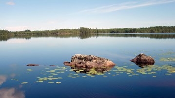 Bild på en sjö