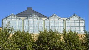 Picture of greenhouse