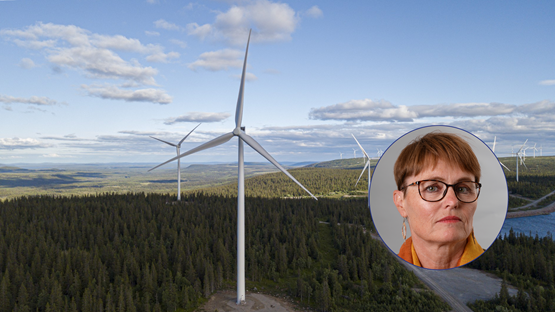 Flygbild över barrskog och vindkraftverk