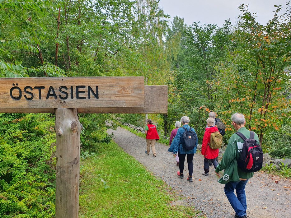 People walk trough the Arboretum