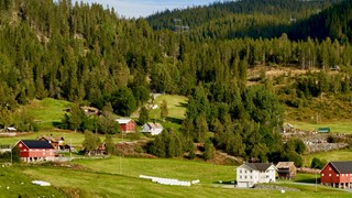 Rural landscap with hourse on a hill in the green of summar