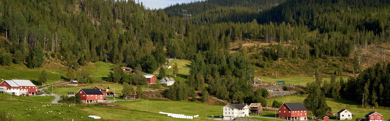 Hus på landet i landskapsbild med gröna ängar och elledning