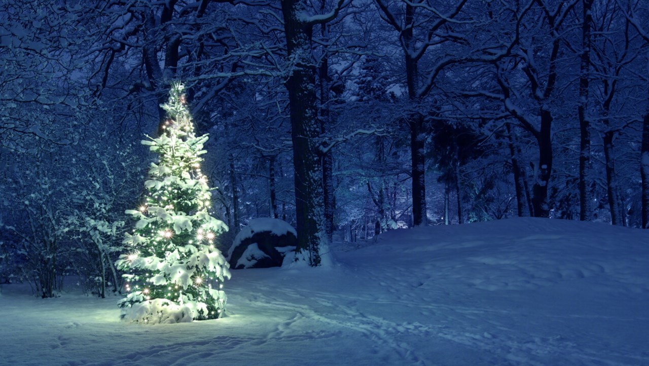 Julgran med belysning och snö på utomhus i ett snöigt landskap.