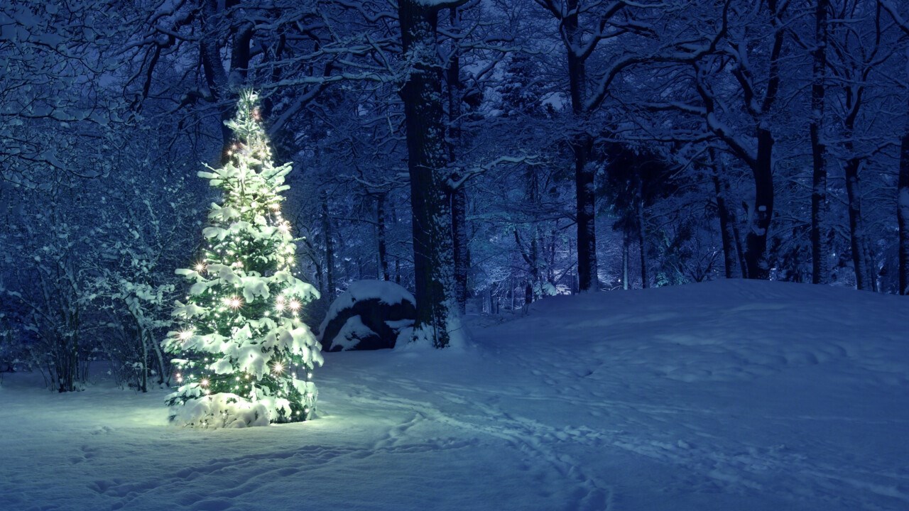 Julgran med belysning och snö på utomhus i ett snöigt landskap.