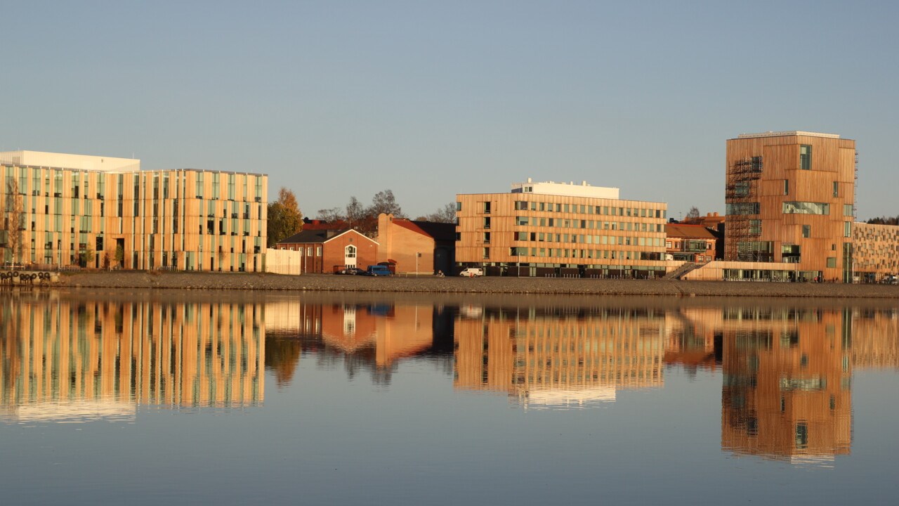 Konstnärligt campus