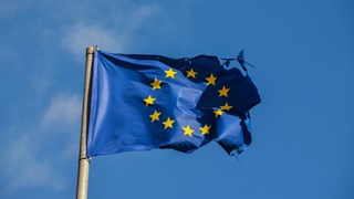 Bild på EUs flagga