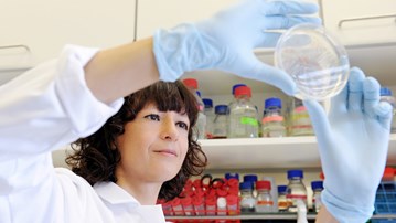 Femte utlysningen av projekt EC Postdoctoral programme