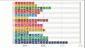 Ola Rosling om FN:s 17 utvecklingsmål 