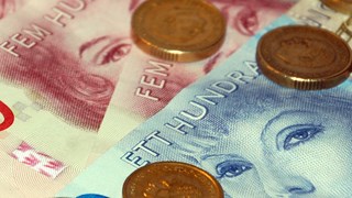 swedish money