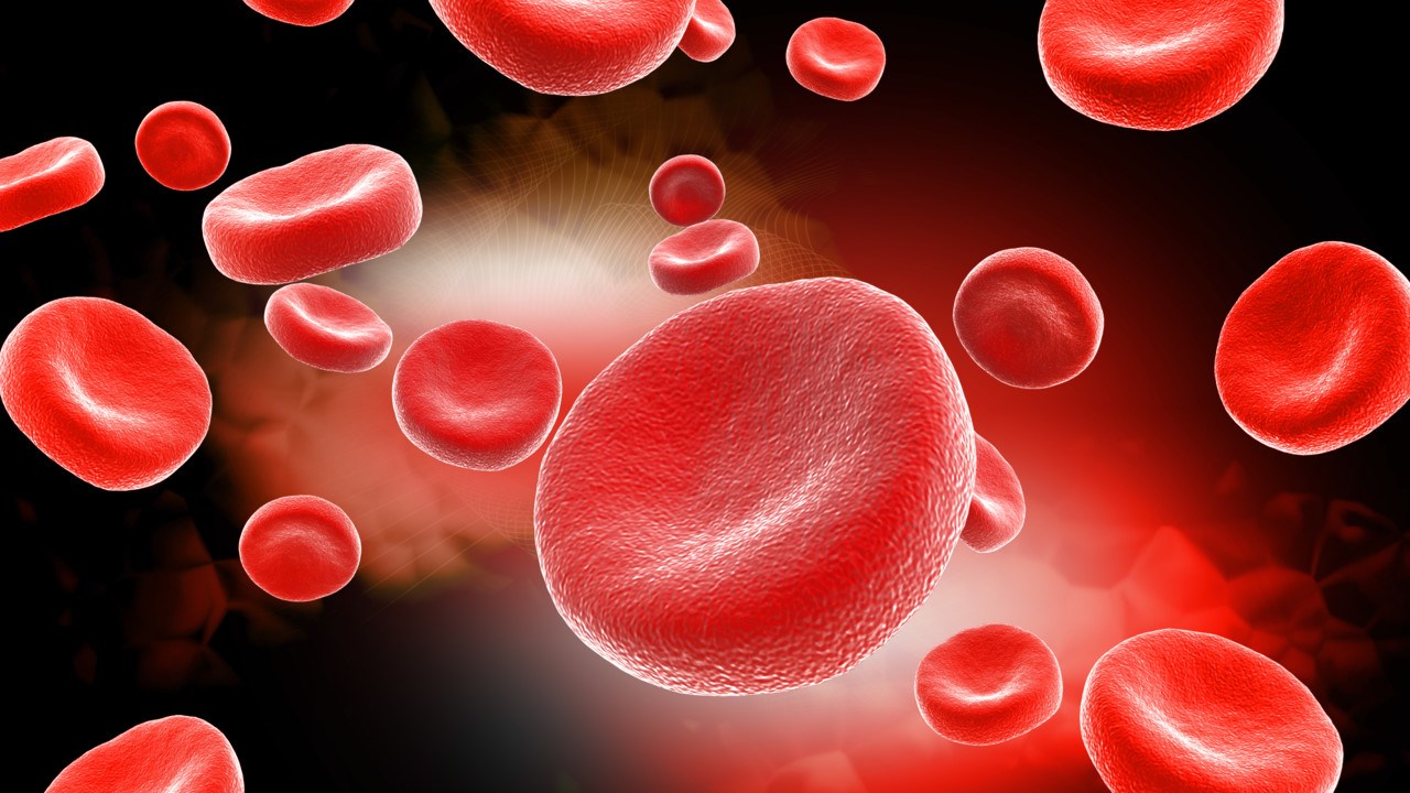 Bild på blodceller