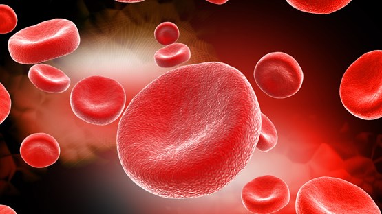 Grafisk illustration av röda blodkroppar.