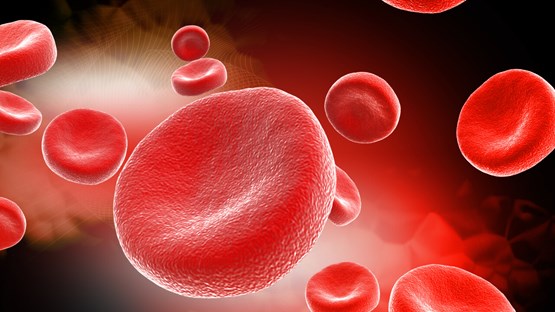 Graphical illustration of red blood-cells.
