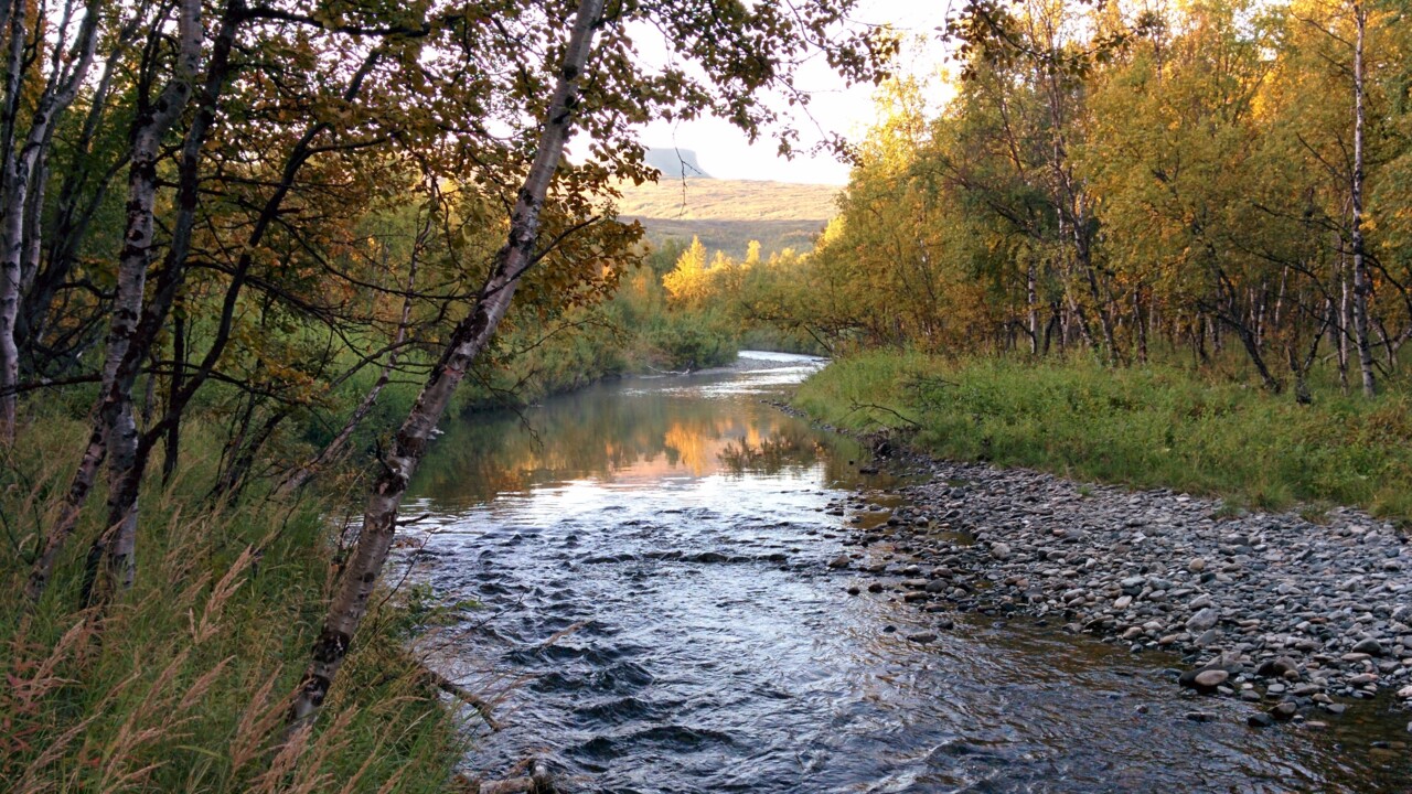 High methane emissions from northern rivers and streams
