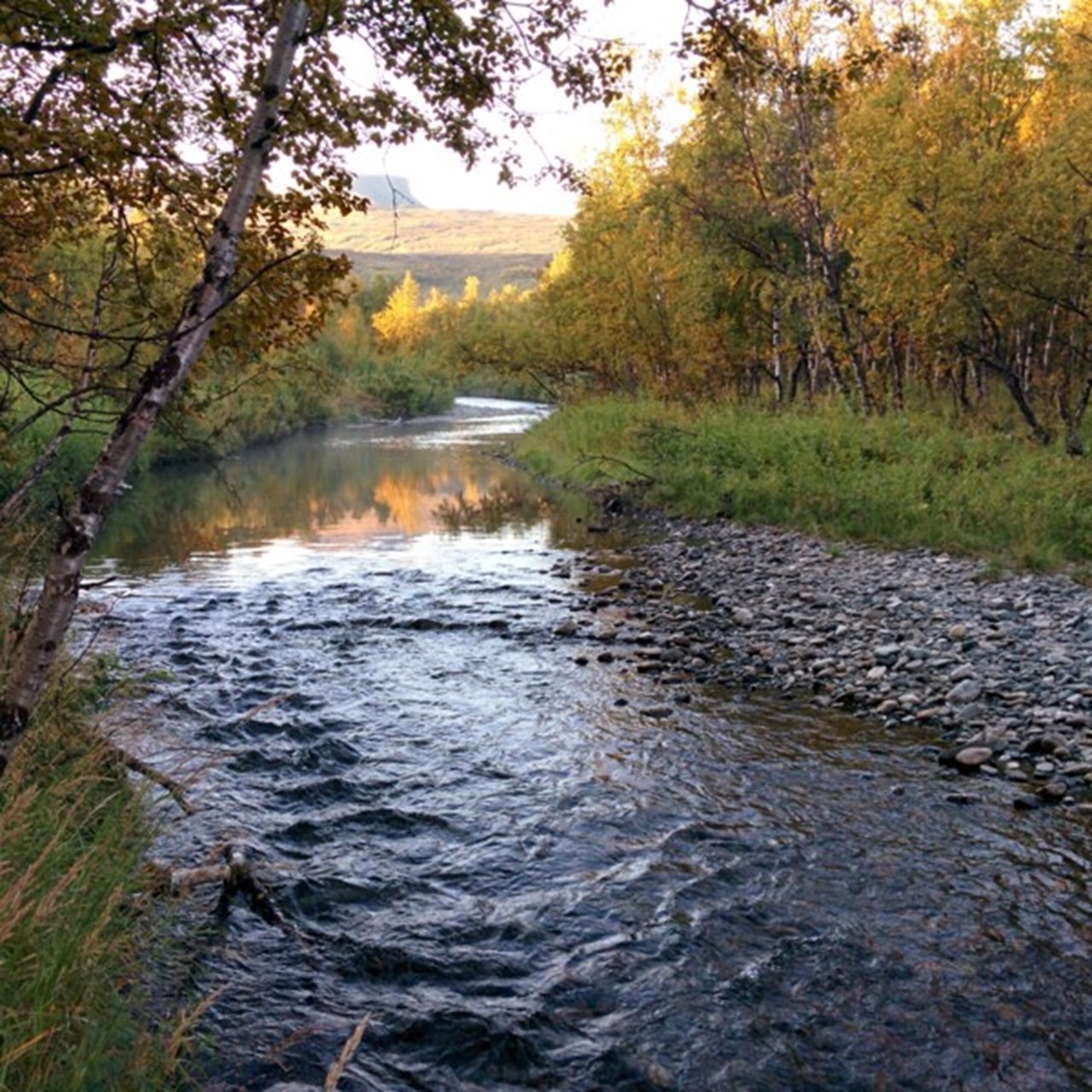 Bild på nordliga bäckar och floder