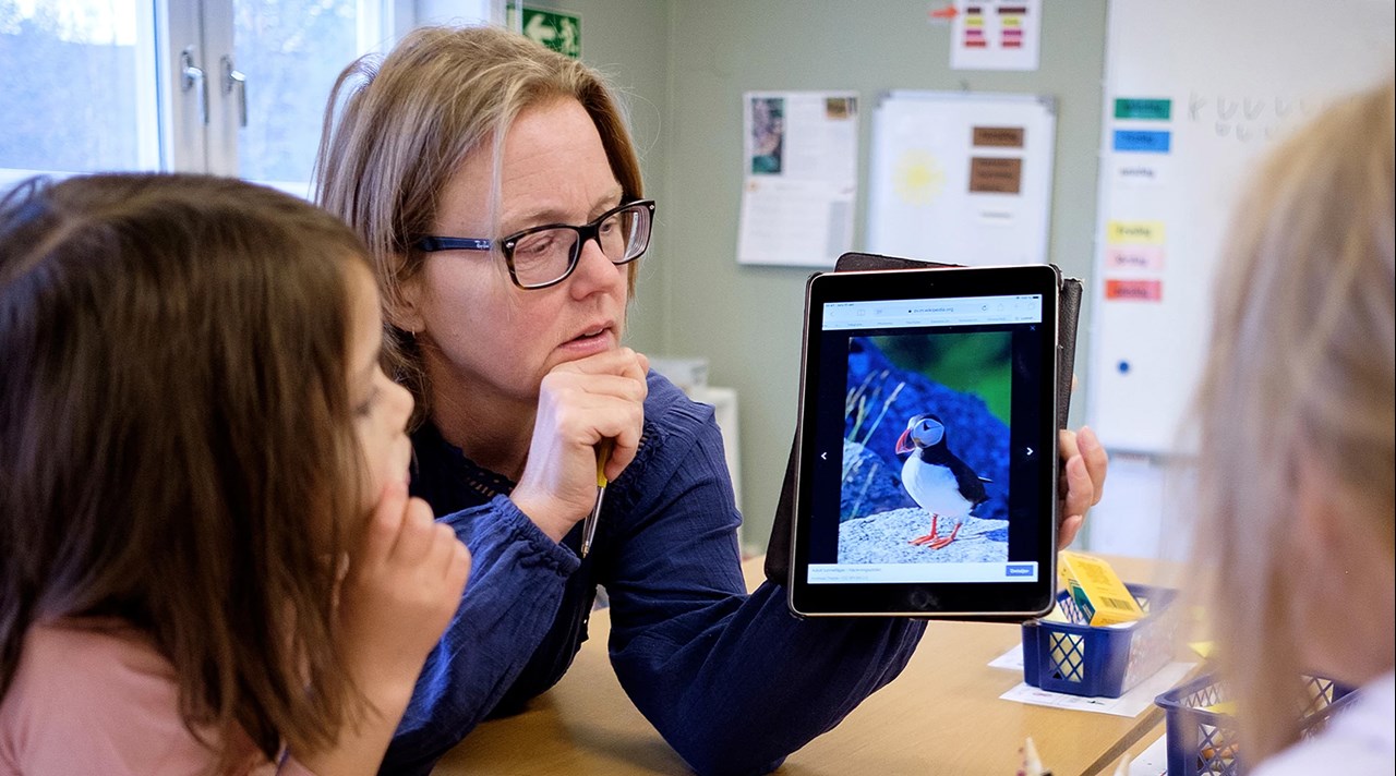 Jenny Sjöström, Ammarnäs skola