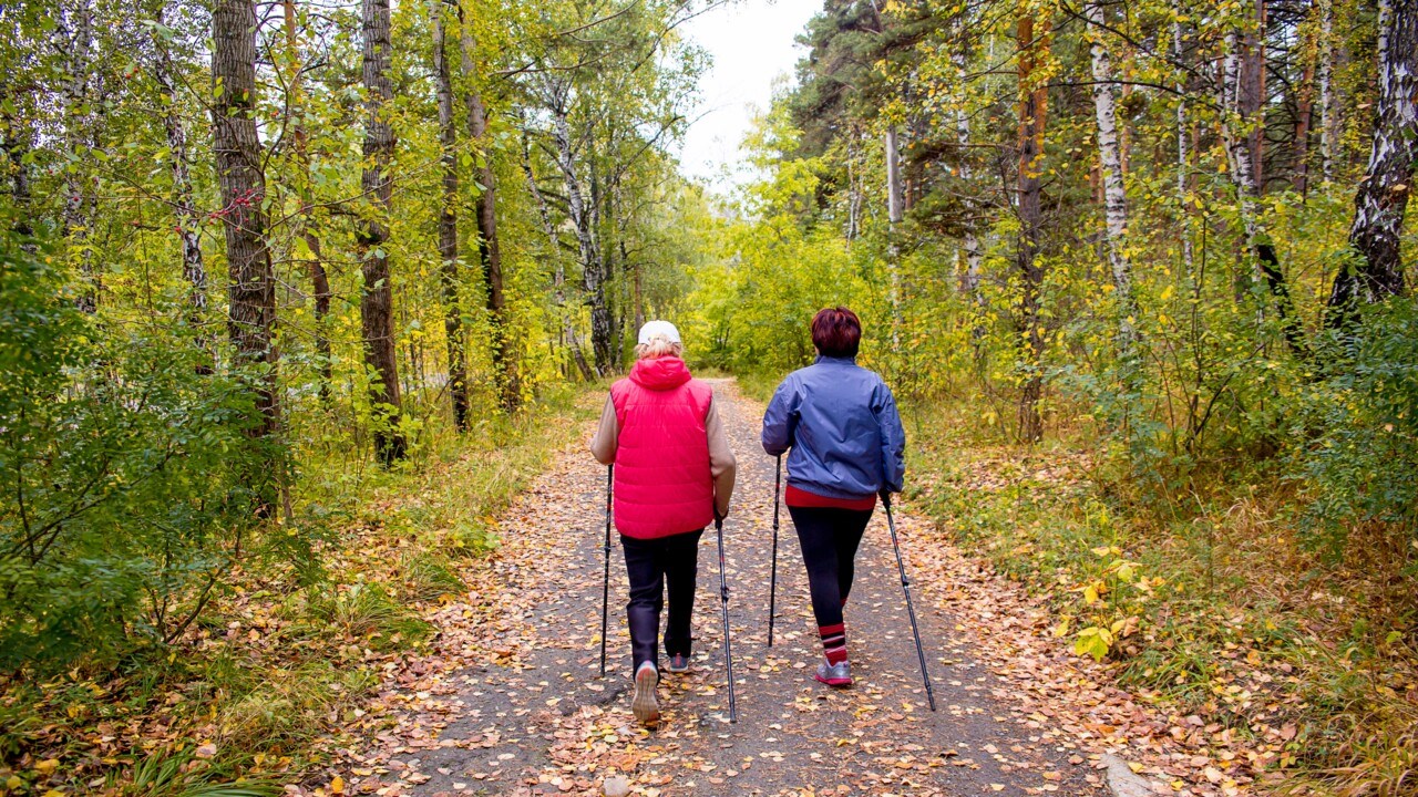 Unga äldre kvinnor går stavgång i skog med höstlöv