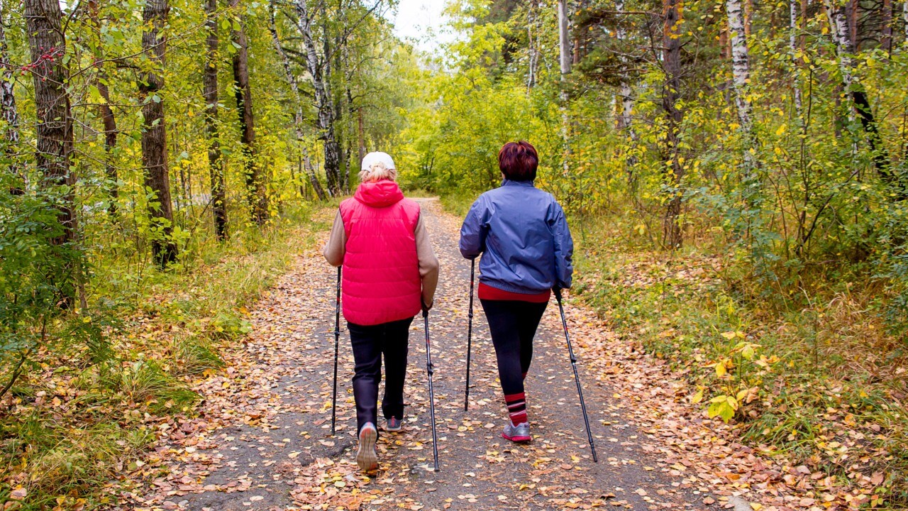 Unga äldre kvinnor går stavgång i skog med höstlöv