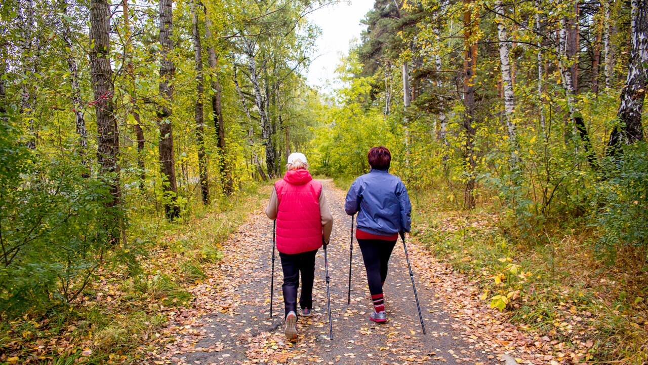 Unga äldre kvinnor går stavgång i skog med höstlöv