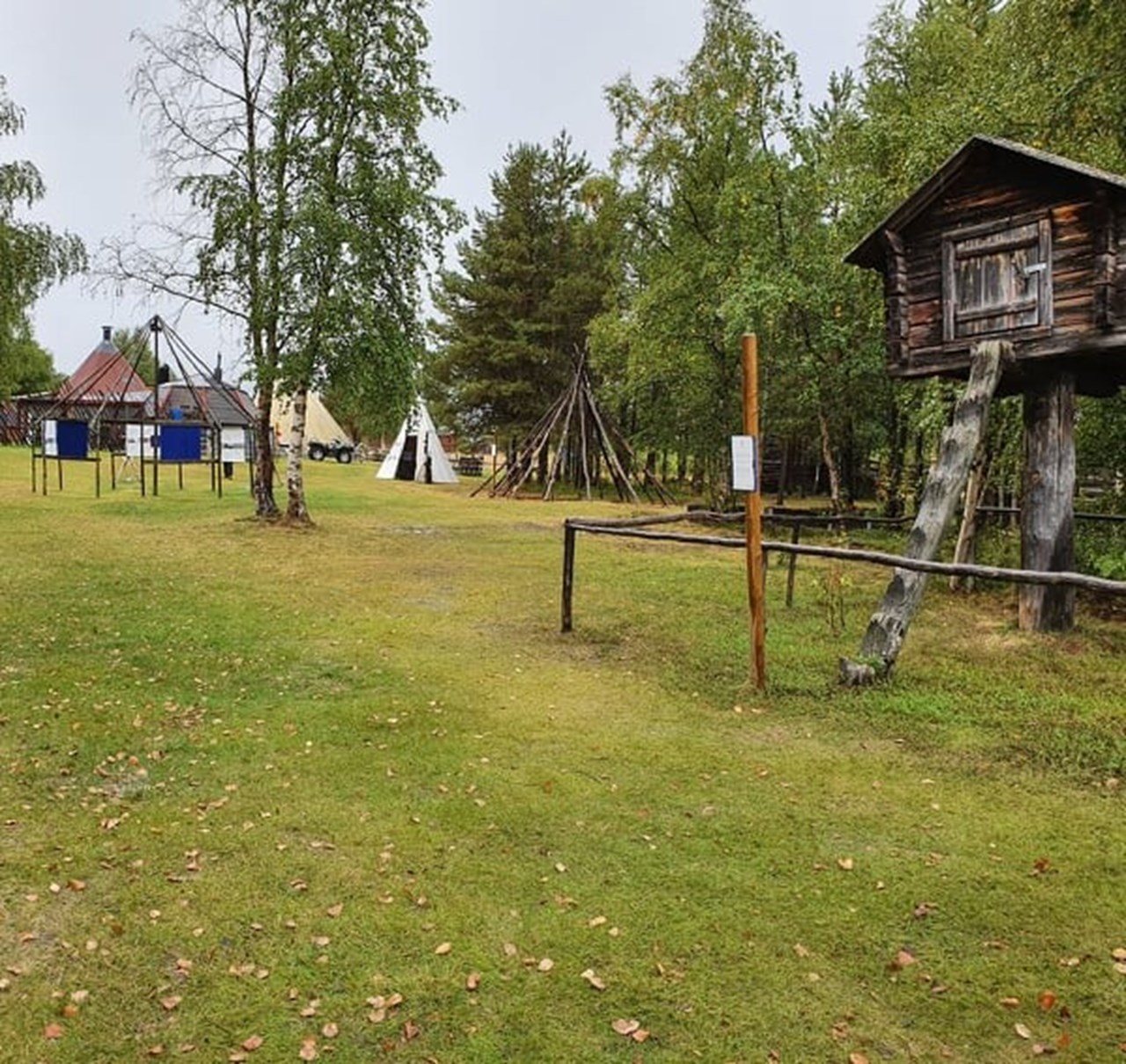 Ute på gräset vid bydnader på samiska friluftmuseet Nutti Sámi Siida