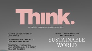 Cover of Think magazine 2020