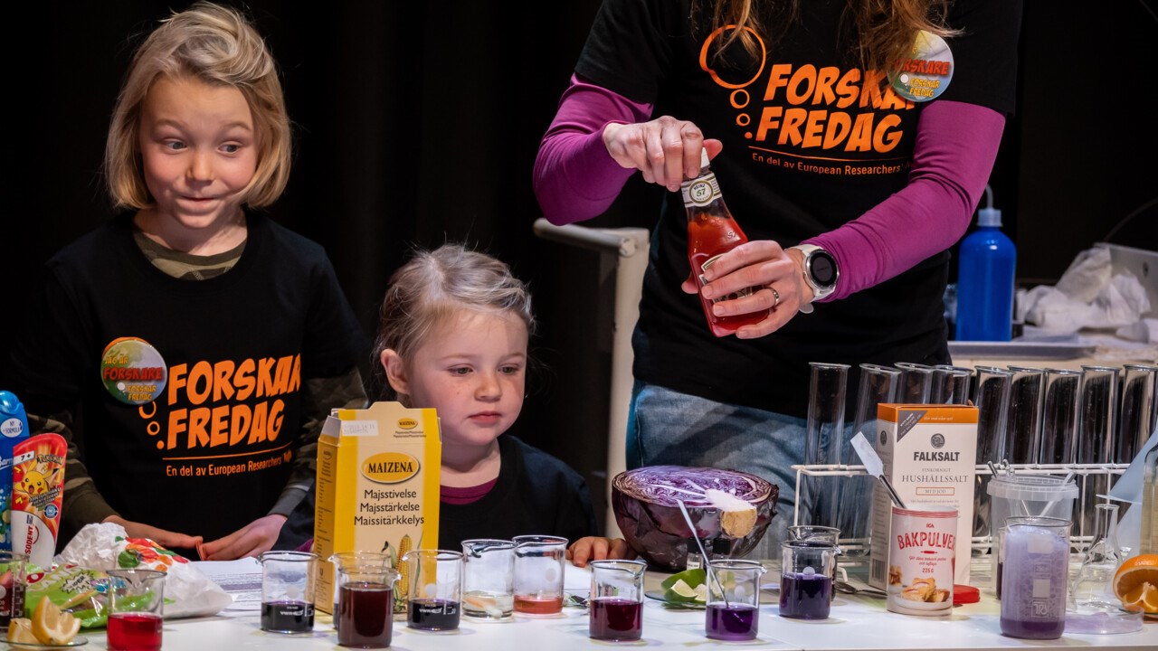 Lena Lassinantti, Josy ter Beek, and her children experiment together at Curiosums ForskarFredag Digital 2020