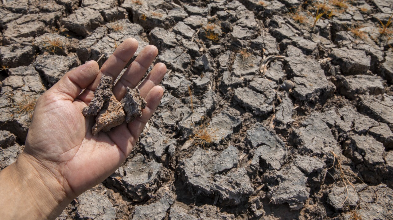 Hand som håller i torr jord för att illustrera torka eller klimatförändringar.