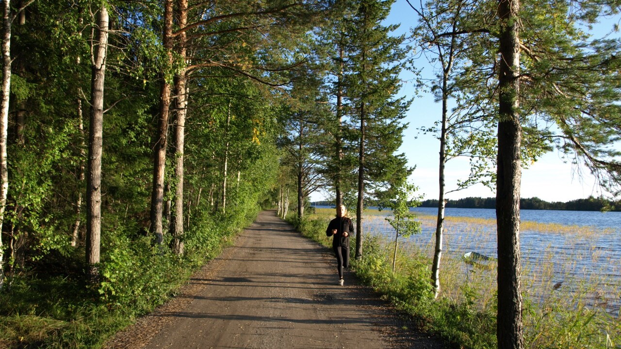 Joggare längs vägen som går runt Nydalasjön.