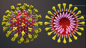 Grafik på coronavirus