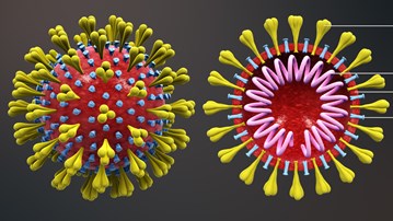 Grafik på coronavirus