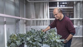 Film: The genetic scissors that revolutionized genetic engineering