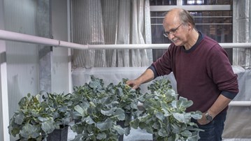 Film: The gene editing tool that started a revolution