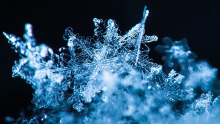Close-up shot of snowflakes.