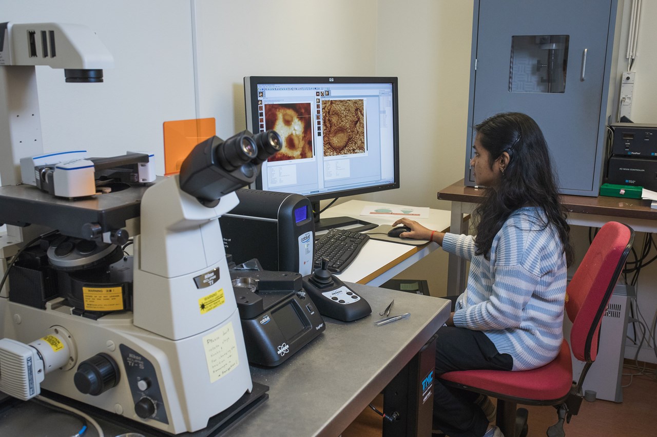 Atomic Force Microscopy