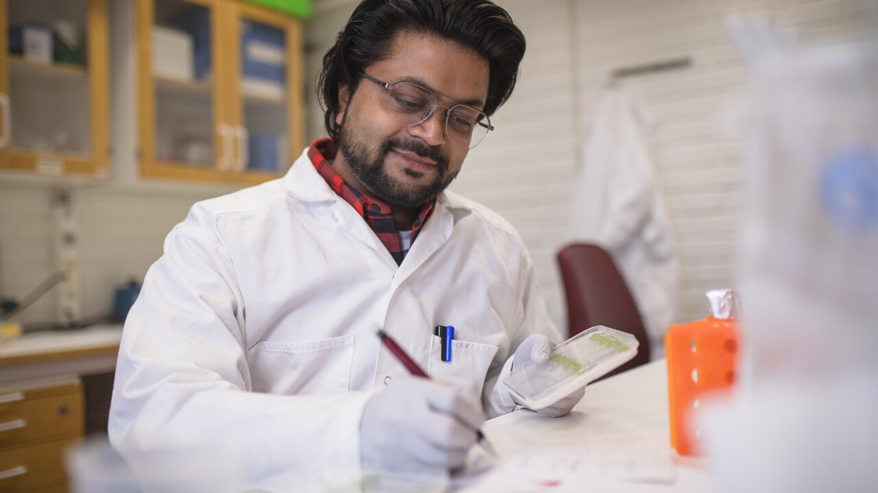 Using Cress in the Lab - Science & Plants for Schools