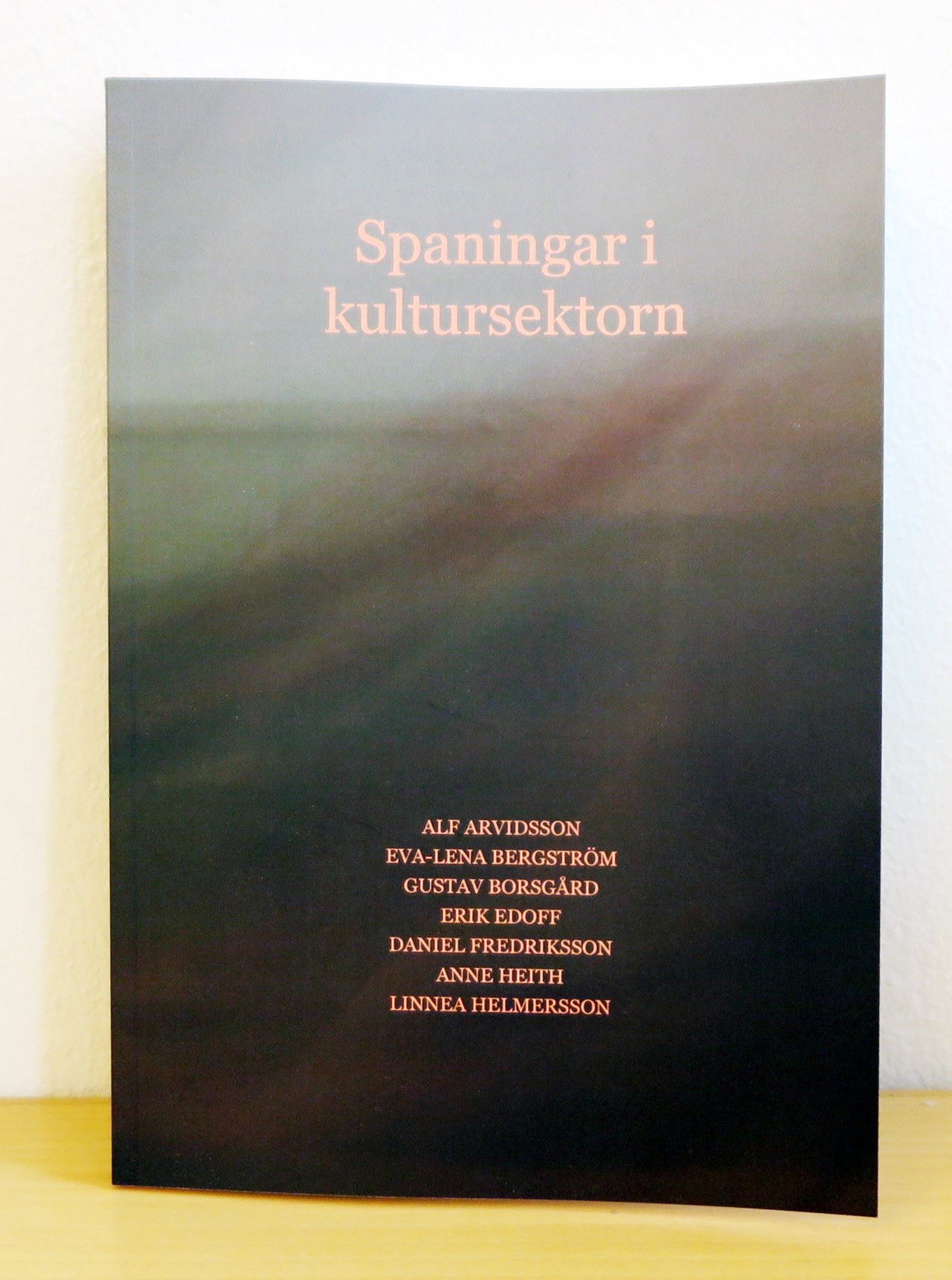 En bild av boken spaningar i kultursektorn ståendes mot en vägg.