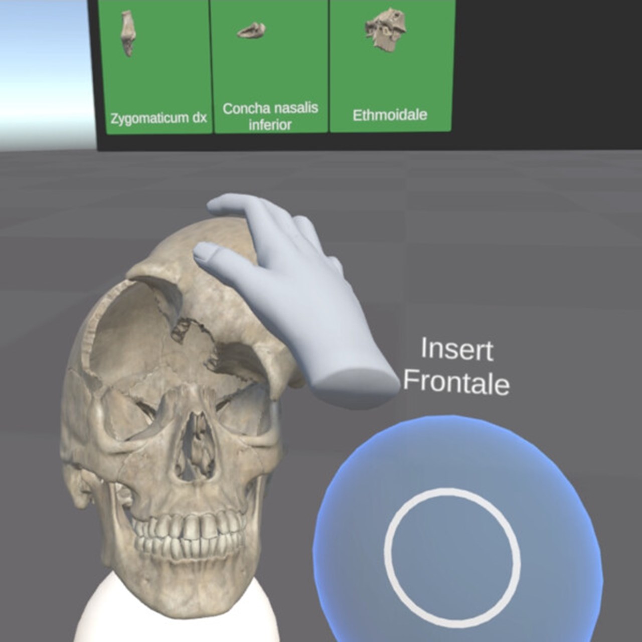 VR-bild på kranium