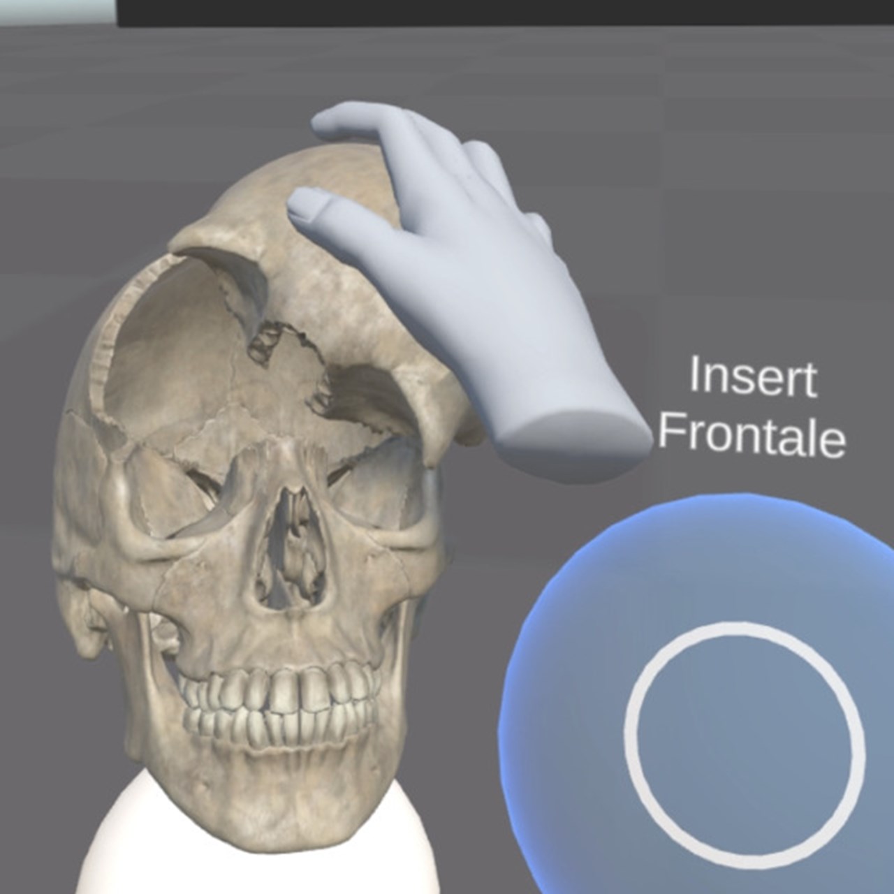 VR-bild på kranium