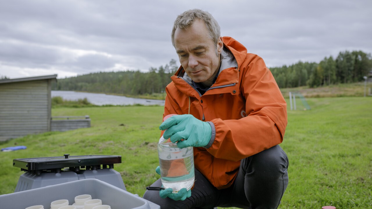 Porträtt av Patrik Andersson, professor i miljökemi, Kemiska institutionen, Umeå universitet.