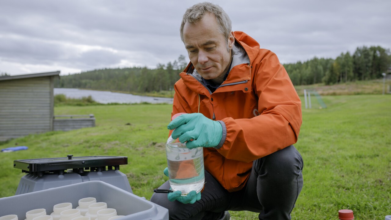 Porträtt av Patrik Andersson, professor i miljökemi, Kemiska institutionen, Umeå universitet.