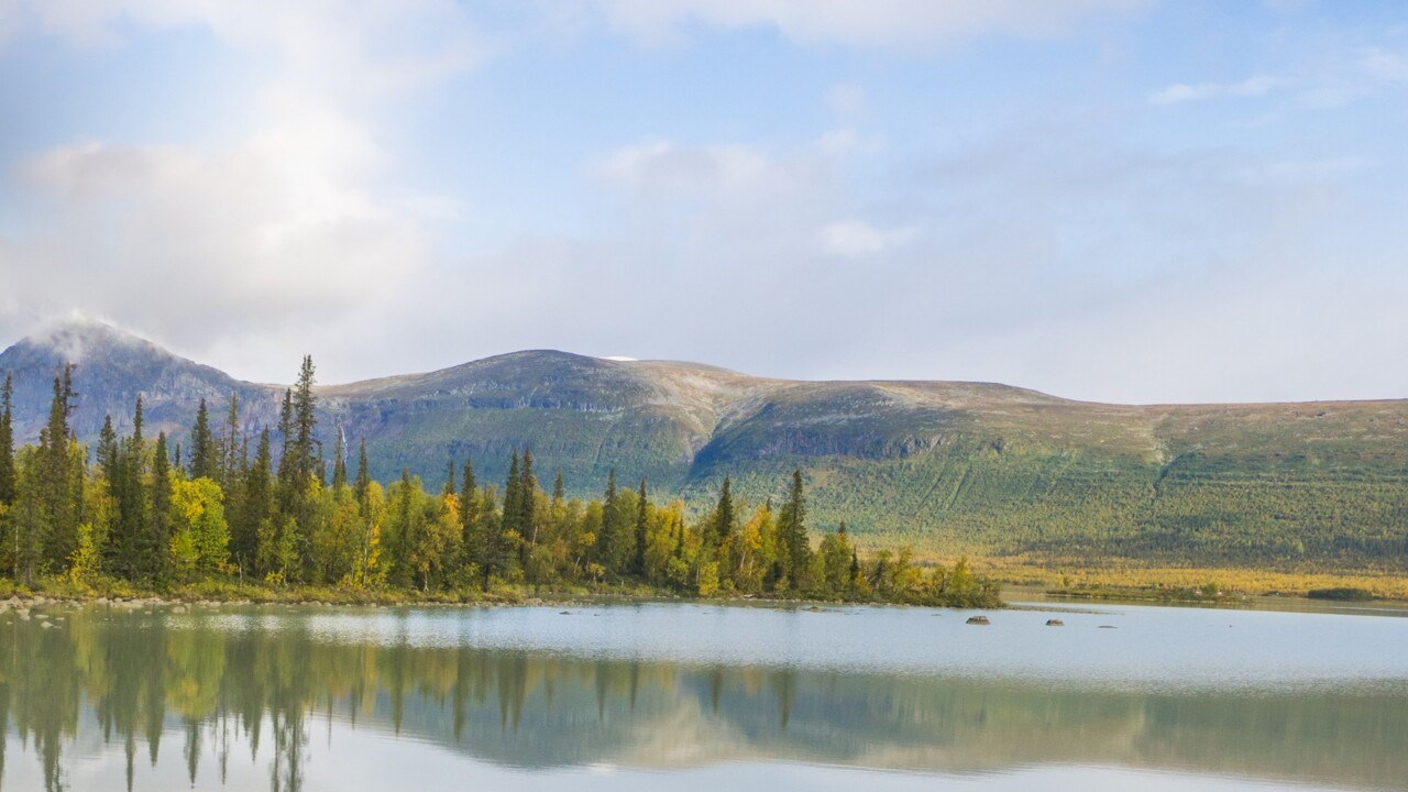 Naturbild från Aktse i Jokkmokk under sommaren