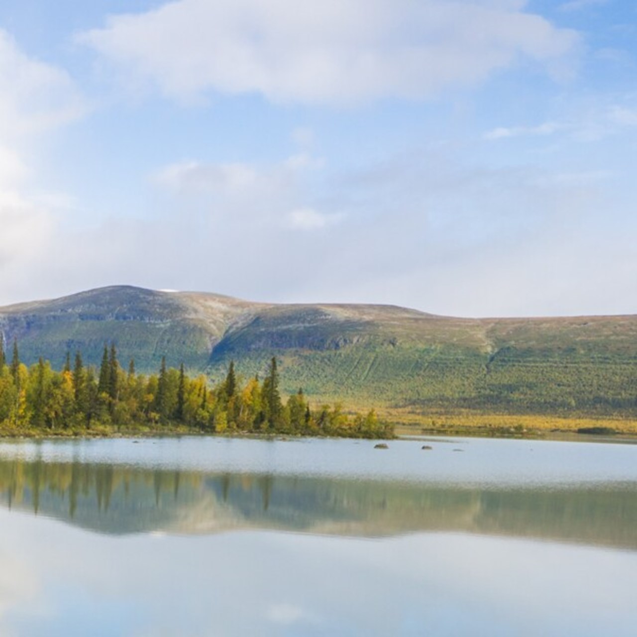 Nature picture from Aktse in Jokkmokk during the summer