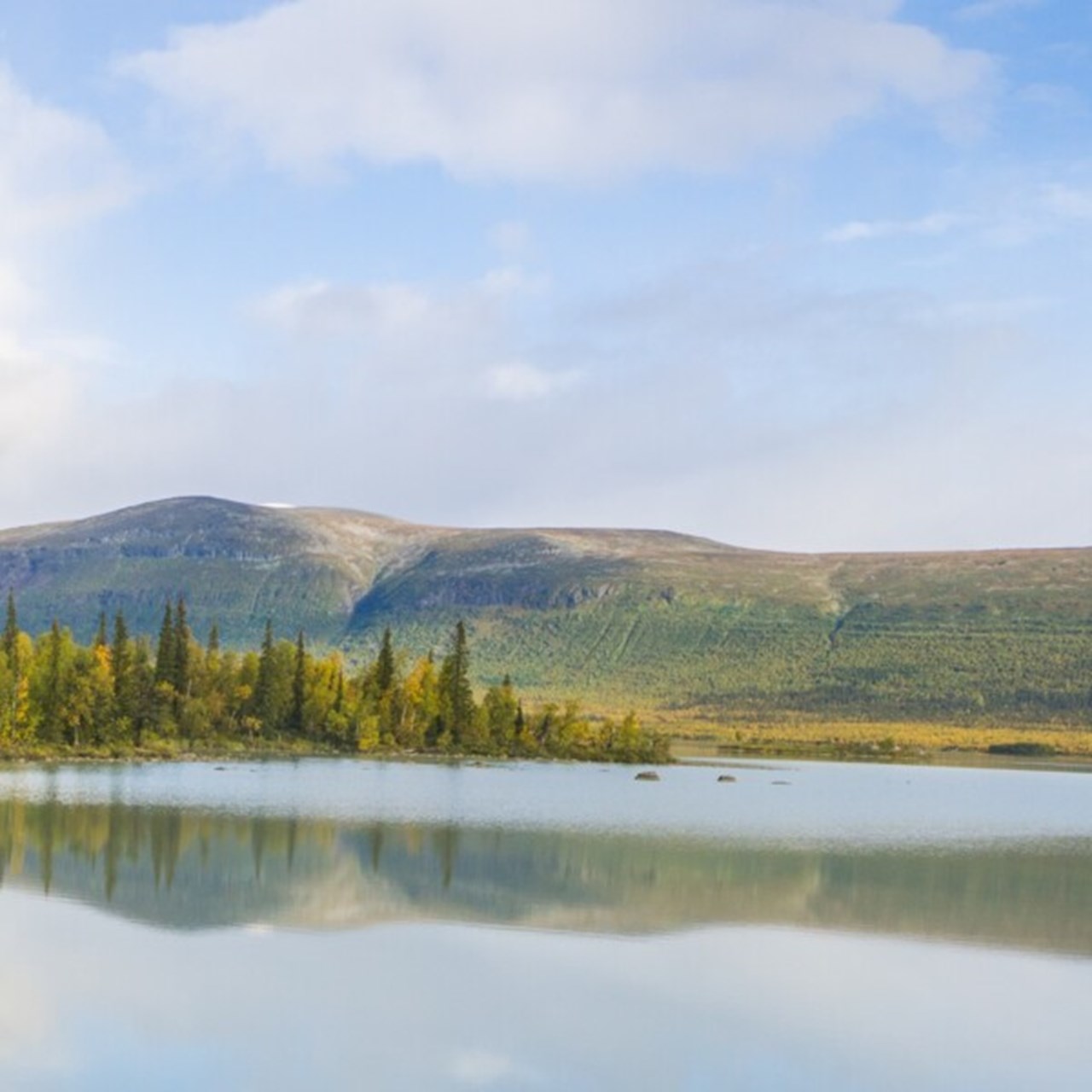 Naturbild från Aktse i Jokkmokk under sommaren