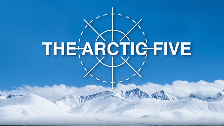 Logo för nätverket The Arctic Five