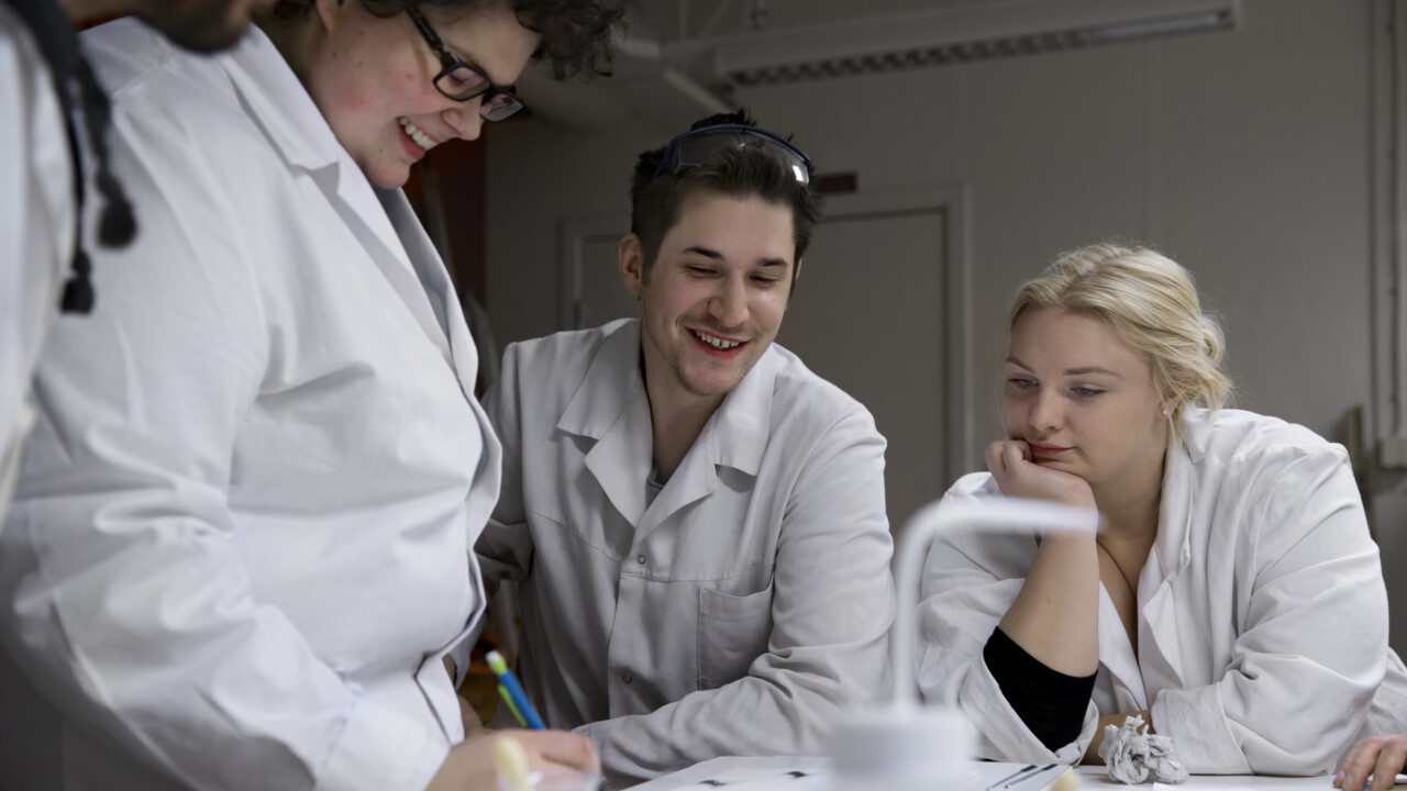 Traineeship at the university