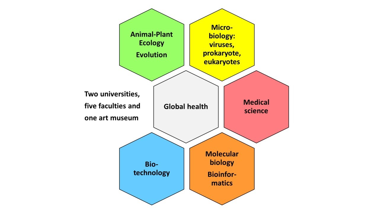 Arthropodum network graphics