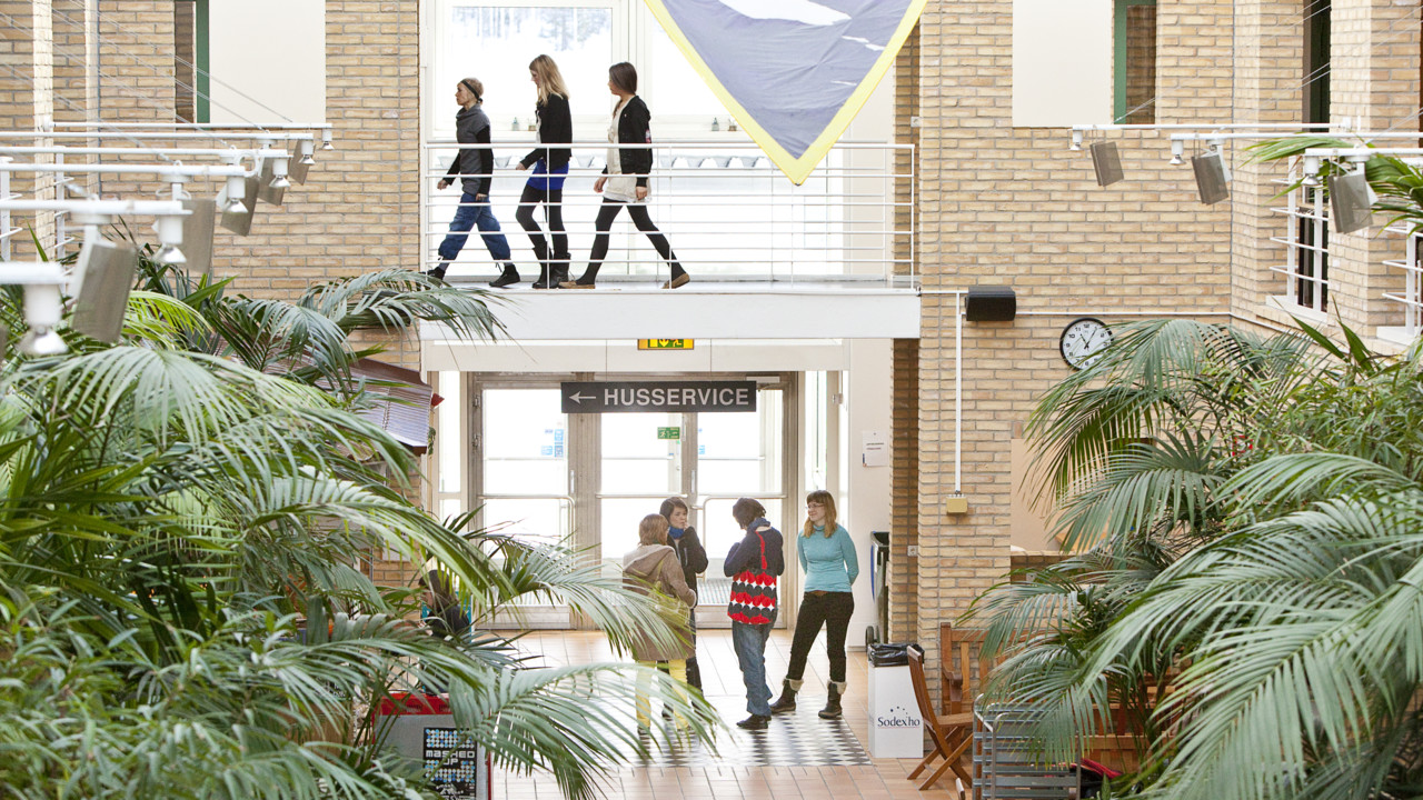 Umeå University office